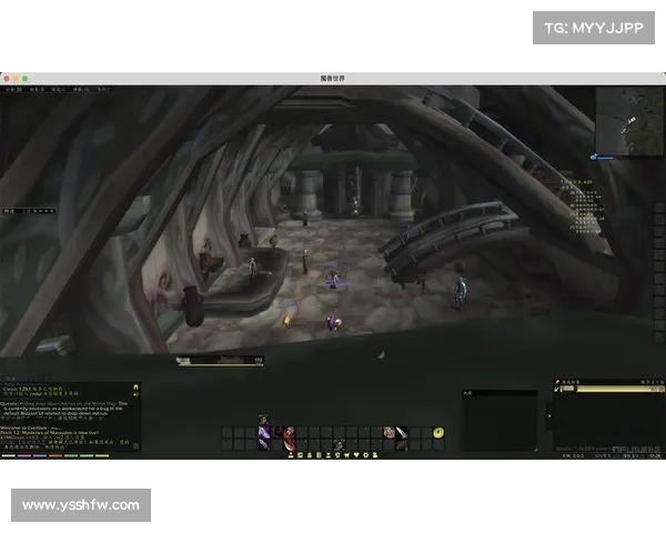 魔兽世界怀旧TBC：圣骑士升级攻略